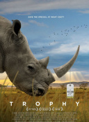 深度剖析：战地模拟器中的战术与策略